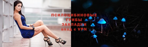 прущая мука Пестово
