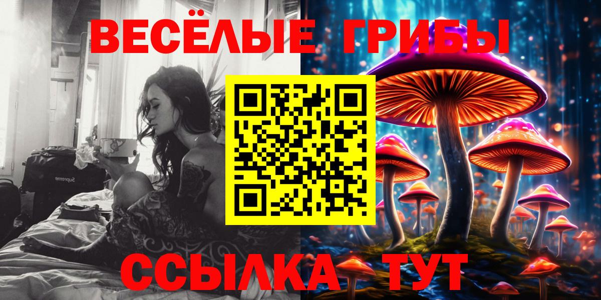 Галлюциногенные грибы Psilocybe Богородицк