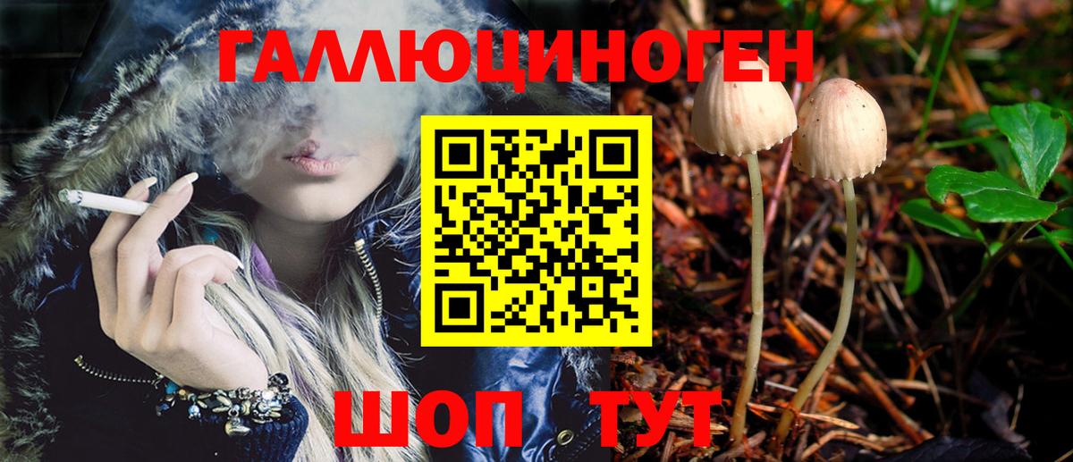 Галлюциногенные грибы прущие грибы  Богородицк 