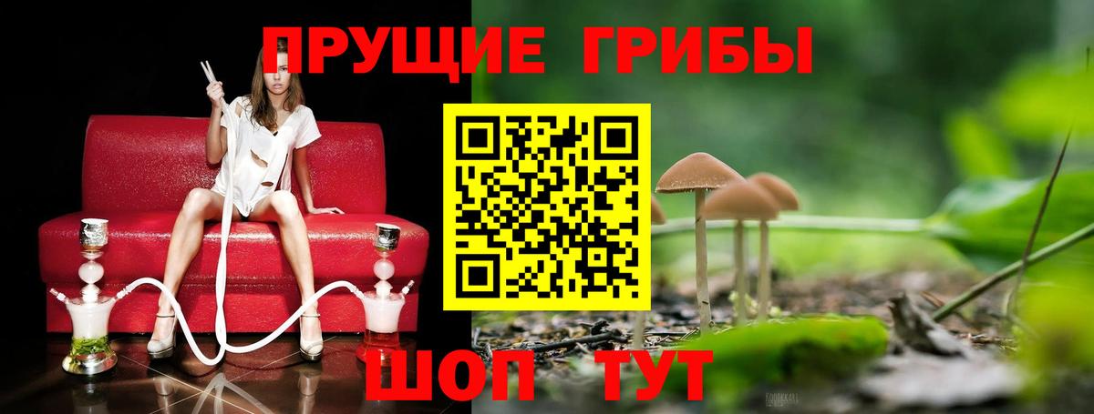 Псилоцибиновые грибы GOLDEN TEACHER  Вход с VPN  Галлюциногенные грибы Psilocybine cubensis  Богородицк 