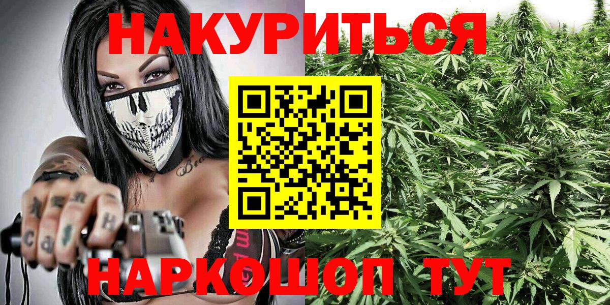 Канабис планчик Богородицк